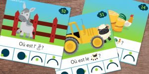 Cartes à pince - Topologie - la ferme